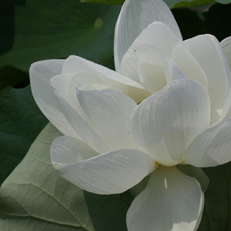 山崎润（饰 三井） - 山口珠理影片高清在线播放19 - 客户端观影